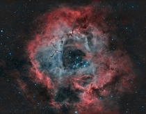 The Rosette Nebula a combination of five NGC objects NGC  NGC  NGC  NGC  and NGC 