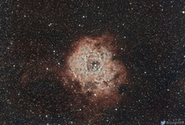 The Rosette Nebula Caldwell 
