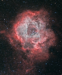 The Rosette Nebula NGC  is at the edge of a large molecular cloud in Monoceros some  light years away The lovely symmetric shape is sculpted by the winds and radiation from its central cluster of hot young O-type stars