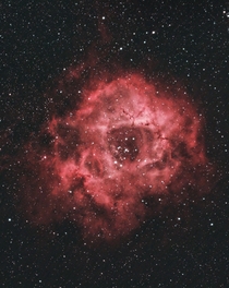 The Rosette Nebula- What you can get with a DSLR and telescope from your backyard