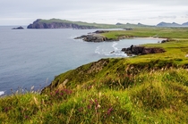 The rugged coast of the Dingle Peninsula the westernmost edge of Ireland 