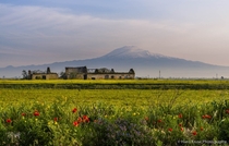 The ruins of a Sicilian Masseria at the foot of Mt Etna Italy  Photo by Hans Kruse