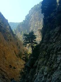 The Samaria Gorge Crete 