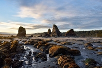 The sea stacks along the Washington Coast can take on many forms The one on the left reminds me of a sandworm from dune erupting from the sand though I can assure you there were no shai-hulud at Toleak Point 