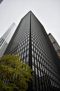 The Seagram Building by Ludwig Mies van der Rohe 