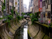 The Shibuya river in Tokyo Japan 