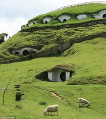 The Shire Lord of the Rings abandoned movie set in New Zealand becomes home to sheep and cattle