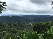 The side of Puerto Rico most tourists dont see - El Yunque National Forest 