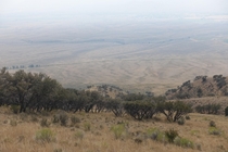 The smokey savannah of Idahos Lost River Range 