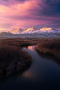 The snowy Sierras a serene stream and a sublime sunrise Owens Valley CA 