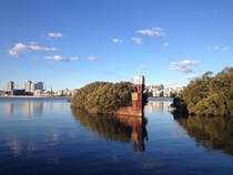 The SS Ayrfield in Sydney Australia Launched in  the hulk of what was once a cargo vessel is over a century old and was forgotten in  after a partial scrapping What is left of the vessel has since been claimed by nature and is now a floating forest 