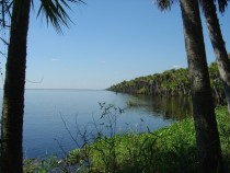 The Stick Marsh - head waters of the St Johns River Florida