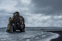 The stone giant Hvtserkur a m high basalt stack in north Iceland  hedbergphotos