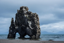 The stone giant Hvtserkur in north Iceland  IG hedbergphotos