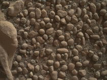 The stones in this photograph taken by Curiosity on Mars look like round stones in the stream beds in the world Maybe a long time ago these pebbles belonged to a Mars river  NASAJPL-CaltechMSSS 