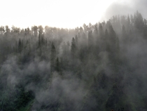 The sun rising from behind the fog-filled hills of Yellowstone 