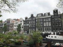 The surprisingly green city of Amsterdam