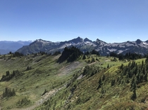 The Tatoosh Range from Mt Rainier OC x