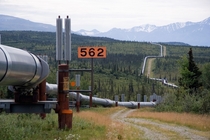 The Trans-Alaska Pipeline 