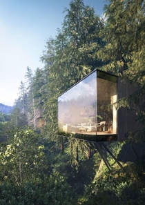 The treehouse reimagined Germany  Matthias Arndt