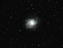 The Triangulum Galaxy  M 