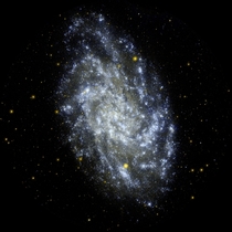 The Triangulum Galaxy M 