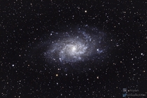 The Triangulum Galaxy shot with a Canon Ti 