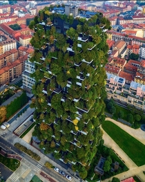 The vertical forest in Milan Italy