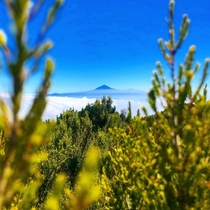 The view of Teide Volcano in Tenerife from the island of La Gomera 
