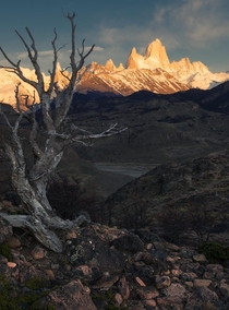 The Watcher  Glowing Mountain El Chalten Patagonia Argentina 