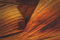 The Wave Vermillion Cliffs Utah 