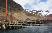 The whaling station on South Georgia British Overseas Territories where Ernest Shackleton sought salvation for his men after enduring a  mile open boat voyage 