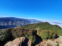There are no oceans in Tennessee just a sea of clouds Mt LeConte 