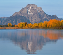Theres only a few days a year with all the colors at peak beneath Mt Moran Grand Teton NP 