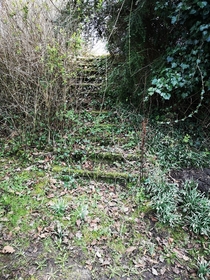 These abandoned steps