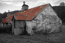 This abandoned cottage now only provides shelter for the sheep  by Ian Murray