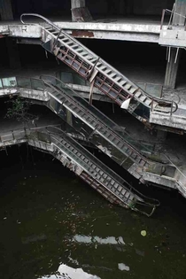 This abandoned mall in Japan has been overrun by fish 