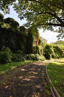 This abandoned nursing home has been overtaken by ivy 