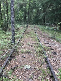 This abandoned railway runs from Perry Florida all the way the Tallahassee Florida Some sections of the rail have dates as far back as  printed on them 