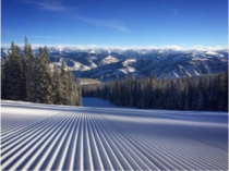 This beautifully manicured ski slope