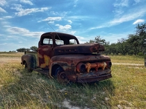 This faithful old beast left out to pasture in the Texas hill country