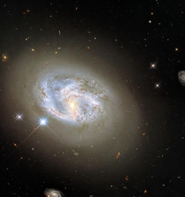 This image taken with Hubbles Wide Field Camera  WFC features the spiral galaxy NGC  At  oclock and  oclock two other galaxies can be seen flanking NGC 