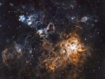 This is what I captured for my first light Tarantula Nebula in the Hubble palette from my backyard in the city