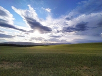 This is what I see when I go jogging before the sunset Tuscany countryside Siena Italy 
