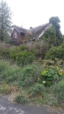 This overgrown house that no one seems to know the age of Taken by myself on a stroll