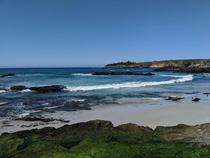 This past weekend was the first time I saw the water this blue Absolutely beautiful Carmel Beach Carmel-By-The-Sea CA 