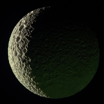 This processed image of Saturns moon Mimas looks spongy