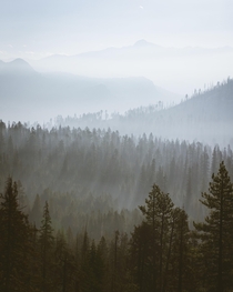 This was from a smokey morning in Yosemite National Park The way the light came up over the mountains and cut through the smoke and trees was incredible This world never ceases to amaze me 