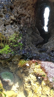 Tide Pool and Tunnel in Santa Cruz CA 