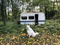 Tiny abandoned caravan in the woods found by my dog
